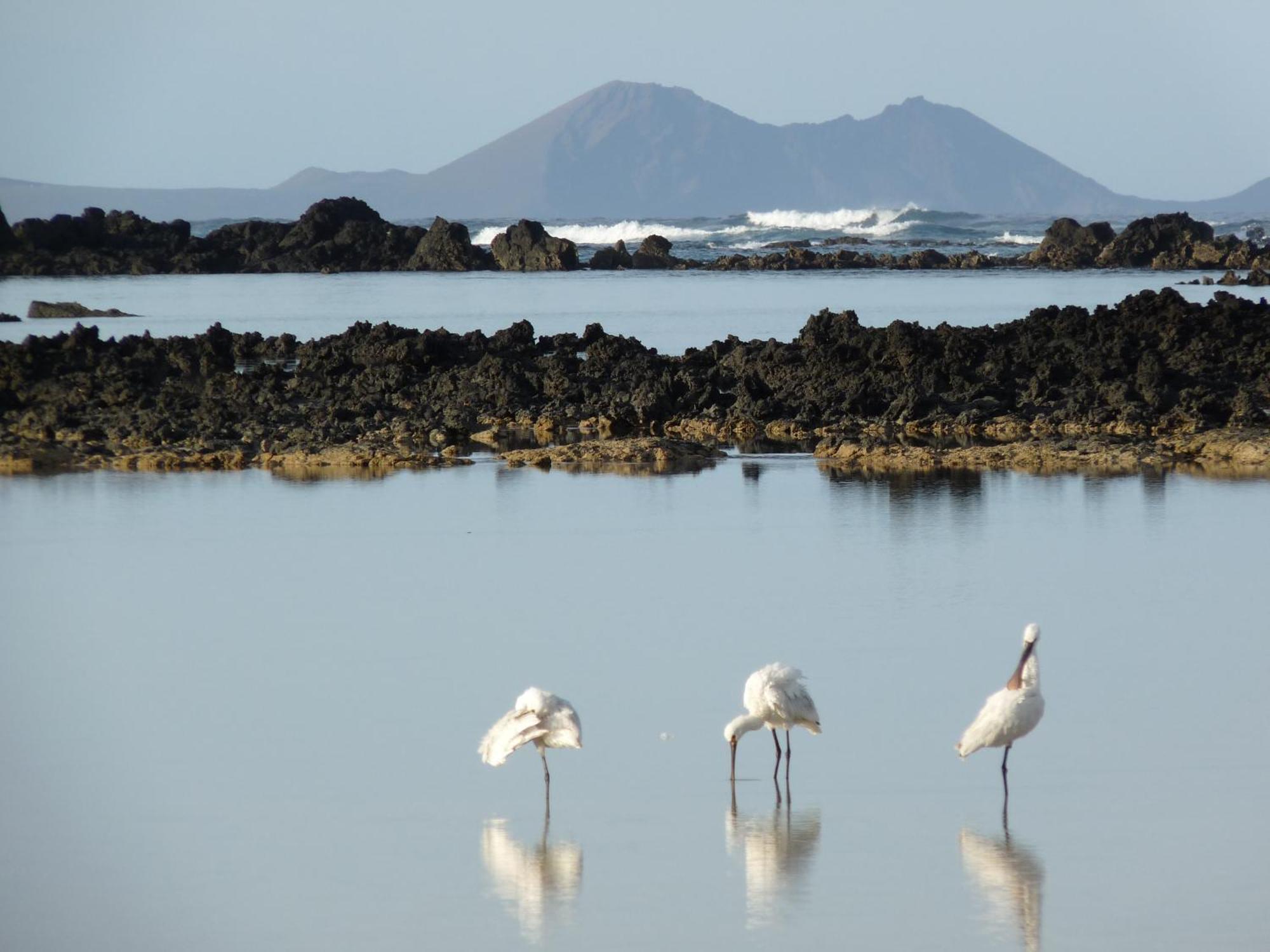 Casa Ana Y El Mar - Para Enamorados Del Mar - Lanzarote Теґісе Екстер'єр фото